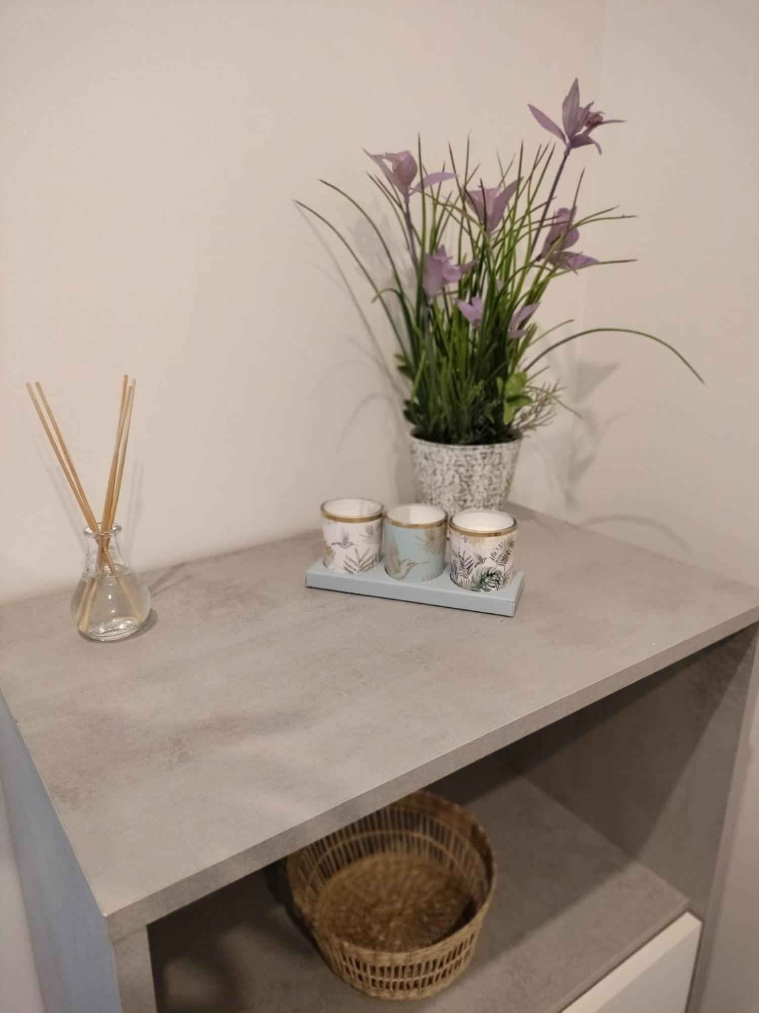 Palmeral Suite غرادو المظهر الخارجي الصورة